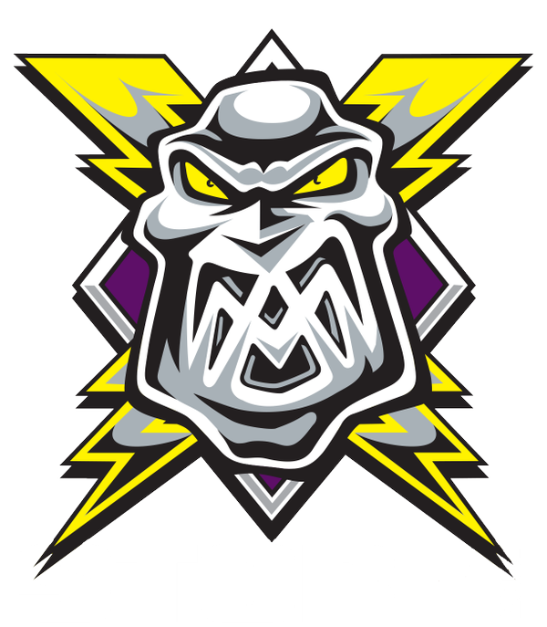 Manchester Storm 2015-Pres Primary Logo iron on transfers for clothing